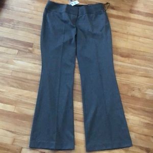 NWT Express Editor Gray Flare 12